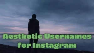 Aesthetic Usernames for Instagram